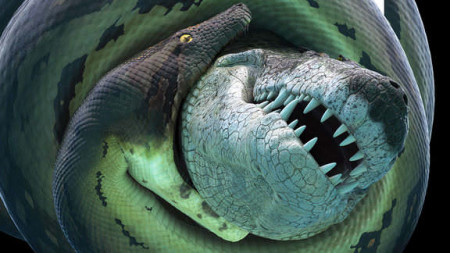 Bí Ẩn Quái Vật Khổng Lồ Titanoboa Titanoboa: Monster Snake