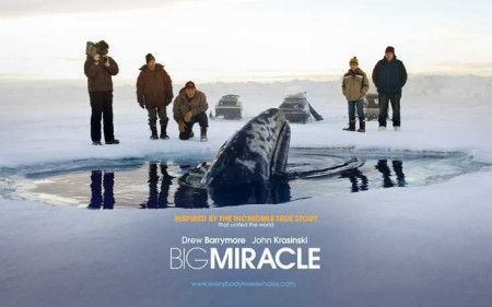 Phép Màu (2012) - Big Miracle