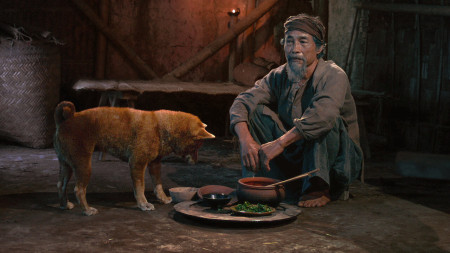 Cậu Vàng - The Old Man's Dog