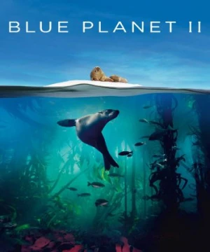 Hành Tinh Xanh II - Blue Planet II