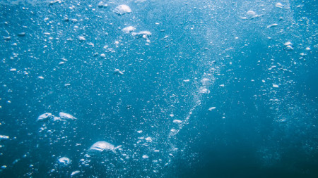 Kẻ Săn Mồi Đáy Biển Underwater