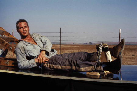 Kẻ Trơ Tráo Cool Hand Luke